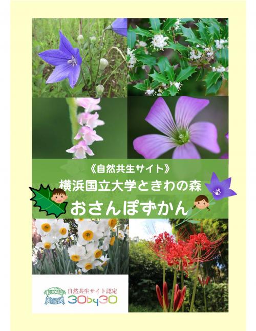 『《自然共生サイト》横浜国立大学ときわの森おさんぽずかん」を刊行！
