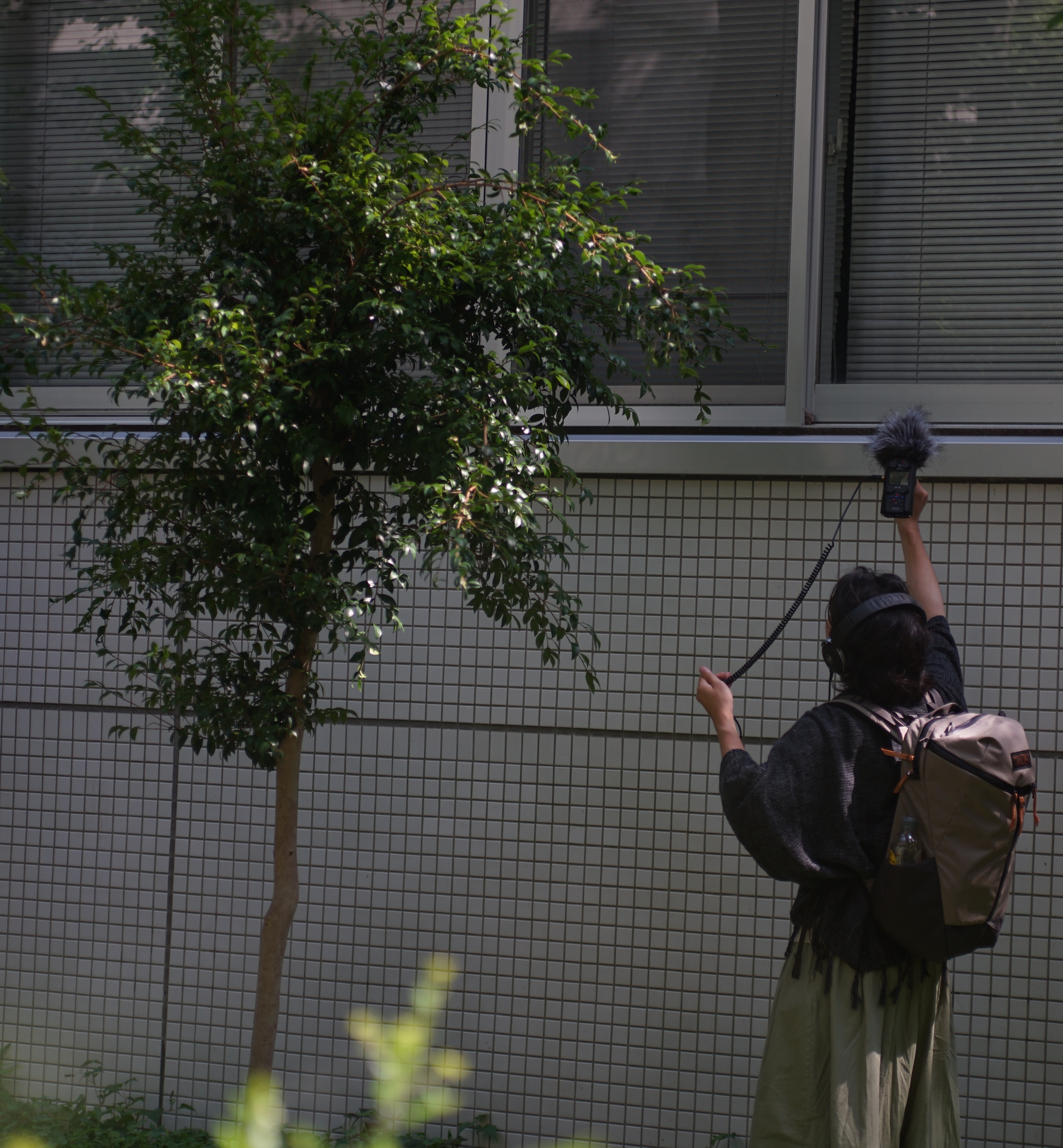 DSC03599.JPEG