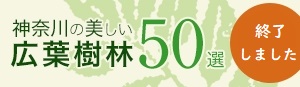 神奈川の美しい広葉樹林50選